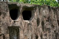 2019 SGR Outing - Zoo Negara