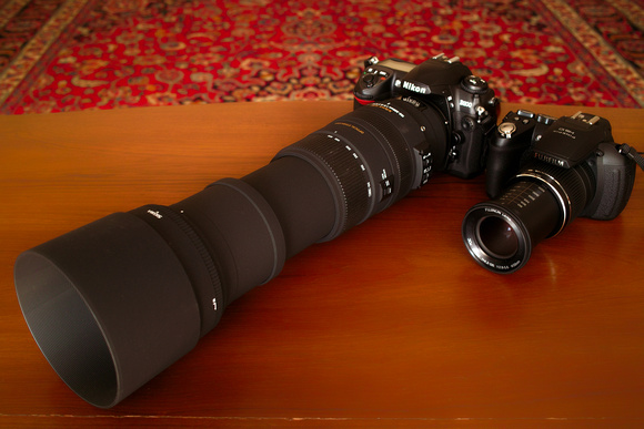 Fuji HS10 with Nikon D200 + Sigma 150-500mm