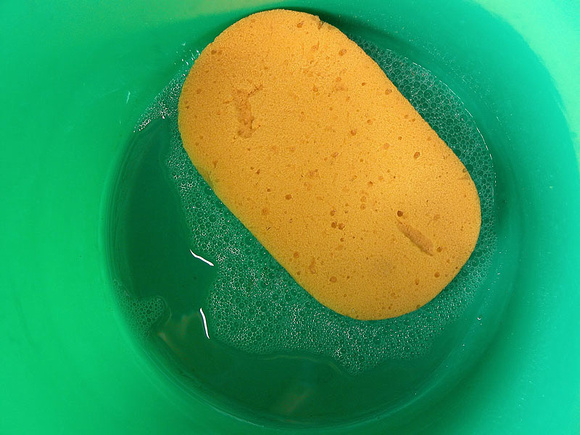 Sponge in a Bucket - Soap Suds for Car Wash