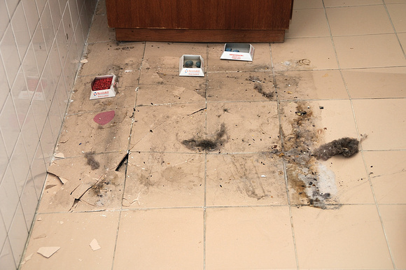Kitchen Floor Earthquake