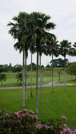 Le Grandeur Resort, Senai, Johor