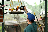 KL Bird Park with Fariz