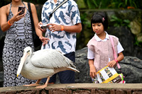 KL Bird Park with Fariz