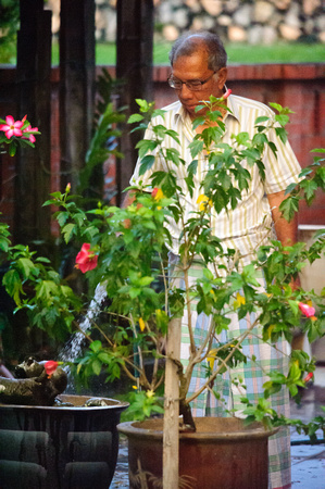 Hussien Wahab watering the plants
