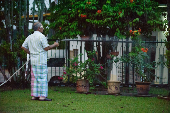 Hussien Wahab watering the plants