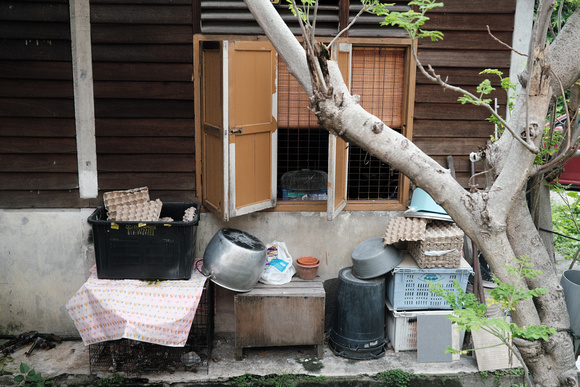 Scott Kelby Photo Walk at Kampung Baru