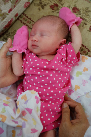 Nur Eryna - Haniff & Elle's Baby