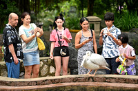 KL Bird Park with Fariz