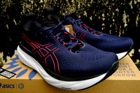Asics Gel Nimbus 25 Sports Running Shoes