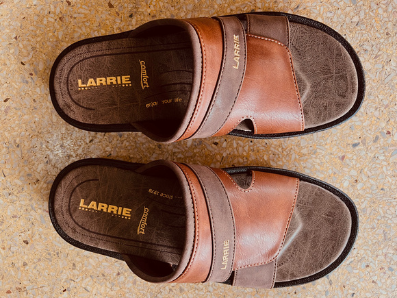 Larrie slippers