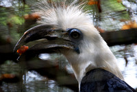 Melaka Zoo