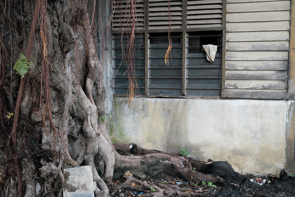 Scott Kelby Photo Walk at Kampung Baru