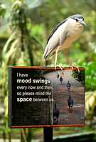 KL Bird Park with Fariz