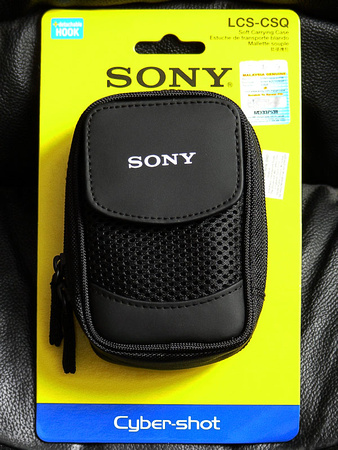 Pouch for Lumix FX55