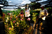 Sungei Buloh Flower Farm