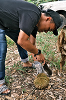 2024 PHG Outing - E-SONS Durian Trip