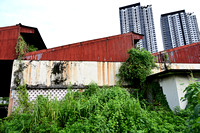 PSPJ - Nature in the City