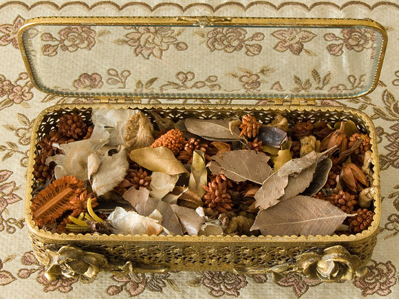 Potpourri - Natural Dried Decorative Elements